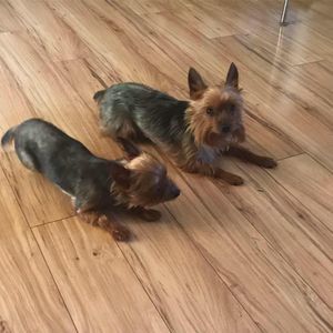 Meet your Posher, Cheryl